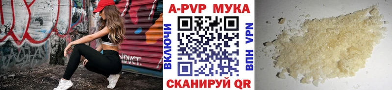 Купить где Балтийск A PVP СК КРИС