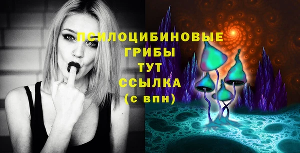ECSTASY Алексеевка