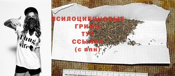 тгк Алексин