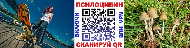 Купить где  Балтийск  Галлюциногенные грибы прущие грибы 